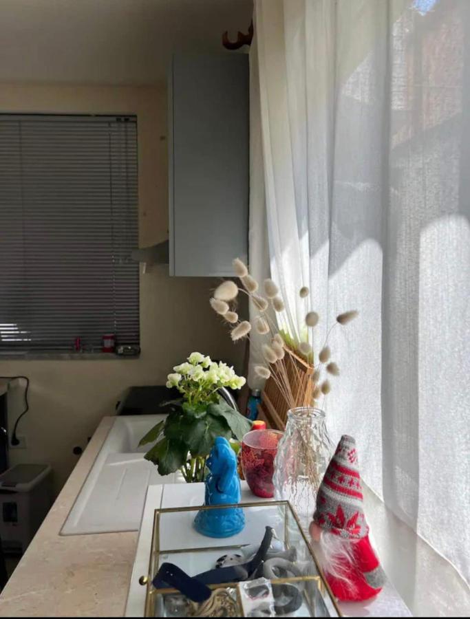 Brilant Studio Apartment City Center تيرانا المظهر الخارجي الصورة